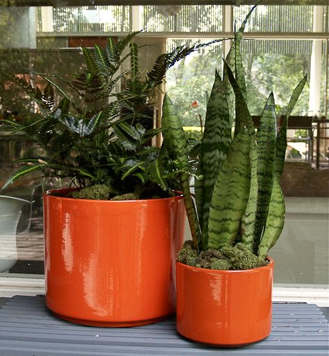 love these. if only i were good at container gardening. Planters For Sale, Orange Plant, Retro Renovation, Vintage Revival, Planter Design, Modern Planters, Home Landscaping, Ceramic Pots, Vintage Planters