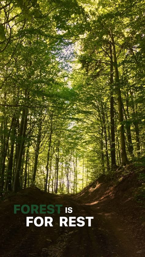 Forest is for rest. #forest #rest #for #trees #slovakia Nature Trails Aesthetic, Caption For Jungle Pic, Nature Conservation Quotes, Forest Story Ideas, Captions For Forest Pictures, Forest Quotes Instagram, Forest Captions, Nature Quotes Instagram, Forest Quotes