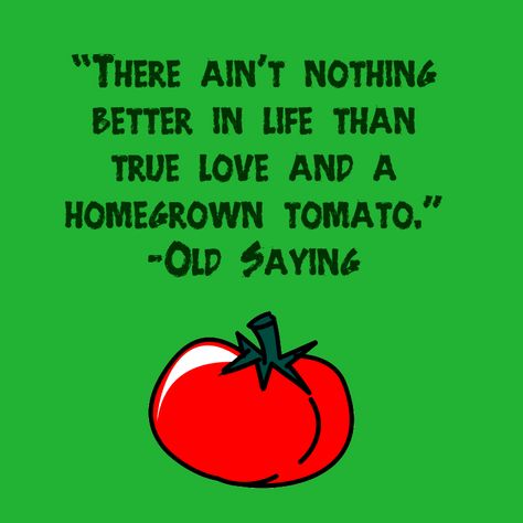 Tomato Quotes. QuotesGram Vegetable Garden Quotes, Tomato Quotes, Vegetables Quote, Heirloom Tomato Seeds, Gardening Quotes, Plants Quotes, Garden Quotes, Bujo Inspiration, Growing Tomatoes