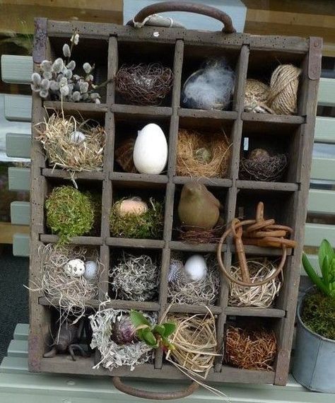 common ground : Spring Inspiration with Mossy, Woodsy Things Spring Baskets, Rustic Easter, Spring Brunch, Spring Easter Decor, Planting Bulbs, Spring Inspiration, Bird Nest, Shadow Boxes, Easter Diy