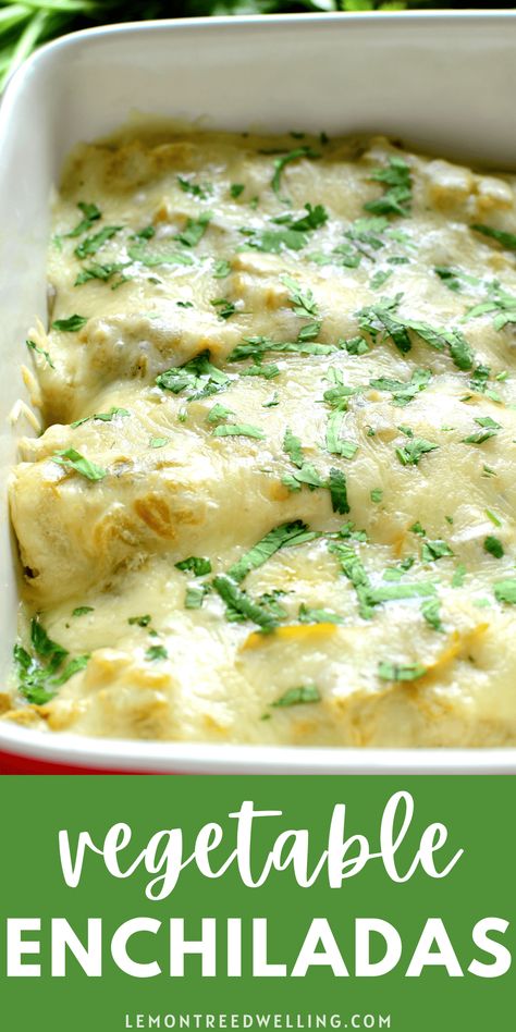 Vegetarian Cheese Enchiladas, Roasted Vegetable Recipes Meals, Best Vegetarian Meals Dinners, Veggie Chimichanga Recipe, Roasted Veggie Enchiladas, Roasted Vegetable Enchiladas, Salsa Verde Vegetarian Enchiladas, Black Bean Corn Enchiladas, Vegetarian Green Chili Enchiladas