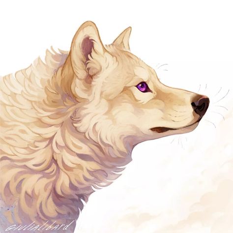 Aesthetic Printouts, Winter Wolf Art, Captain Fordo, White Wolf Red Eyes Art, White Wolf Painting, Wolf Puppy Art, Mystical Wolf Drawing, Wolf With Blue Eyes, Wolf Oc