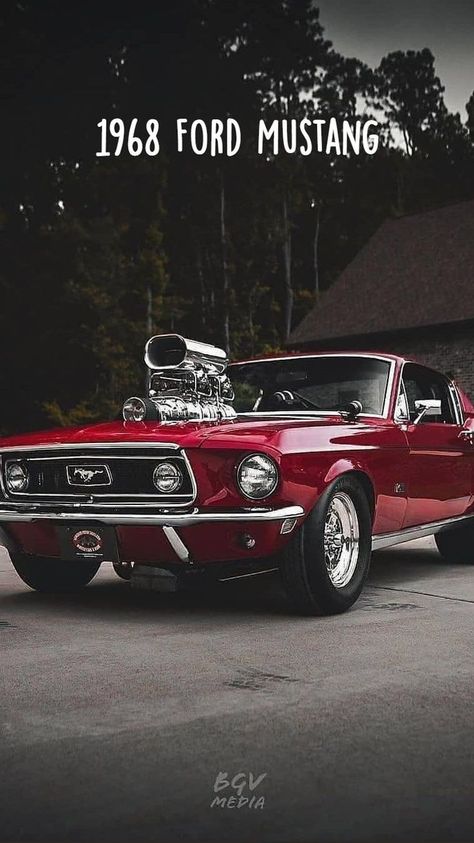 1968 Ford Mustang | Old school muscle cars, Classic cars, Muscle cars Old Muscle Cars Wallpaper, Vintage Muscle Car, Old School Muscle Cars, Ford Mustang Classic, Muscle Cars Mustang, 70s Muscle Cars, Classic Muscle Cars, Old Muscle Cars, Old Vintage Cars