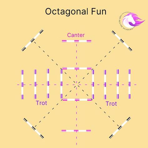 Elly Wishart - Equestrian Performance Coach on Instagram: "🛑 A really fun layout with lots of options! 🛑   The full list of routes are on the app, plus over 50 other exercises!  Link in bio if you haven’t downloaded it yet!  #polework #poleworkforhorses #trot #canter #poleworkinspo #dressagetraining #riding #horselife" Cavaletti Exercises For Horses, Polework Exercises For Horses, Pole Work Exercises For Horses, Horse Lesson Plans, Horse Pole Exercises, Polework Exercises Horse, Pole Exercises For Horses, Polework Exercises, Jumping Courses