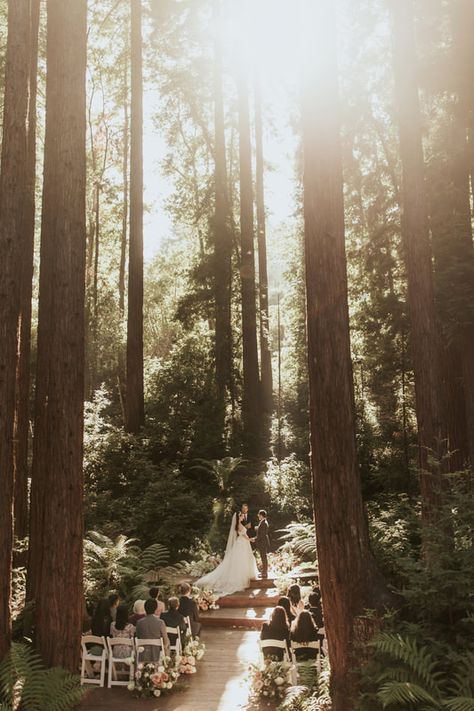 Sparrow Valley Retreat Intimate California Redwoods Wedding Red Woods Elopement, Wedding In Redwoods, California Mountain Elopement, Sparrow Valley Retreat Wedding, Redwoods Wedding California, Red Wood Wedding, Sparrow Valley Retreat, Red Woods Wedding, Muir Woods Wedding