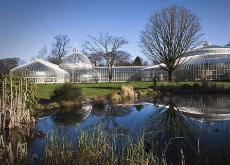 Glasgow Botanic Gardens, Scotland. Glasgow Botanic Gardens, Visit Glasgow, Glasgow City, Country Park, Scottish Wedding, Backyard Inspo, Glasgow Scotland, Botanic Gardens, Botanic Garden