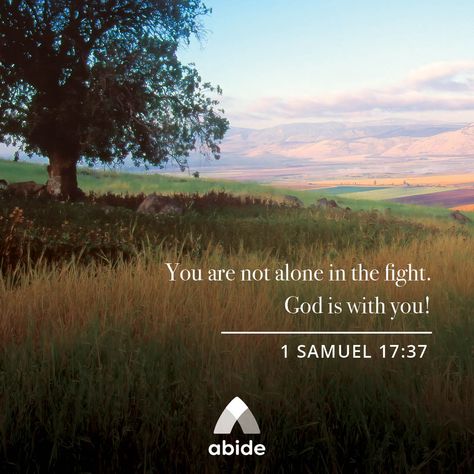 Facing Your Goliath - 1 Samuel 17:47 - Abide Samuel Bible, 1 Samuel 17, Motivational Verses, Life Of Jesus Christ, Worship Videos, Walk In The Spirit, I Love The Lord, Bible Verse Background, Beautiful Bible Verses