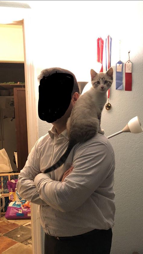 My kitten likes to sit on my dads shoulders Cat Sitting On Shoulder, Cat On Shoulder, Oc Moodboard, Empire Series, Cat Stands, Cat Sitting, Reference Photos, Art Class, Art Classes