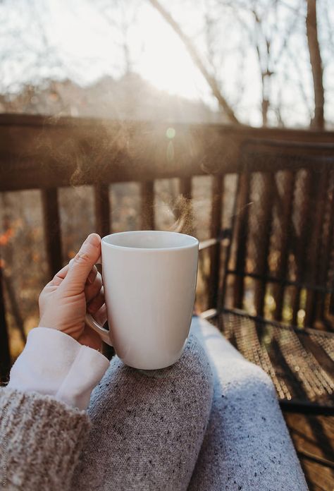 Morning Coffee Photography, Early Morning Coffee, Coffee Cup Photo, Coffee Shop Logo, Coffee Shop Aesthetic, Garden Coffee, Coffee Pictures, Coffee Photos, Coffee Photography