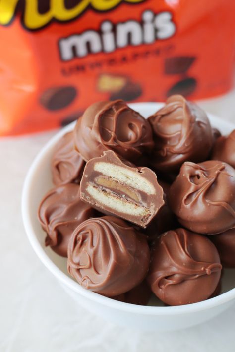 Easy Tagalong Cookie Bites (Peanut Butter Patties) Twix Bites Rolo, Peanut Butter Chocolate Bugles, Nilla Wafer Twix Cookies, Vanilla Wafers Recipe Desserts, Vanilla Cream Caramels, Nutterbutter Truffles, Payday Bites, Peanut Butter Meltaways, Peanut Butter Patties