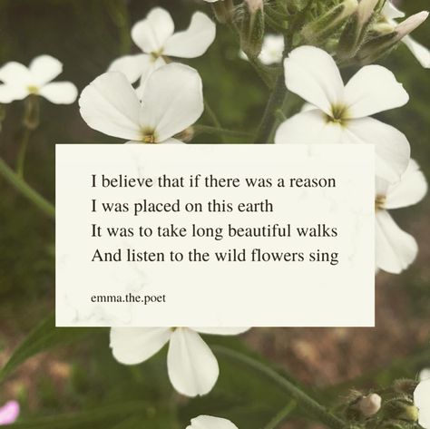 Summer Poems, Floral Quotes, Love Poetry, Poetry Poem, Long Walks, All I Want, The Birds, The Flowers, Literacy