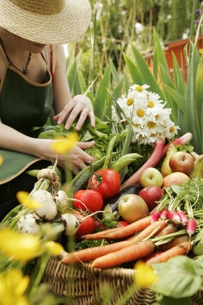 Eating Challenge, Garden Basket, Elephant Journal, Seed Saving, Self Sufficient, Health Nut, Small Space Gardening, Small Backyard Patio, Garden Care