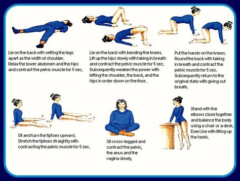 Did you know that certain pelvic floor exercises can help control an overactive bladder by strengthening your pelvic floor? Bladder Exercises, Pelvic Exercises, Kegal Exercises, Bladder Leakage, Bladder Control, Pelvic Floor Exercises, Floor Exercises, Kegel Exercise, Gym Ideas