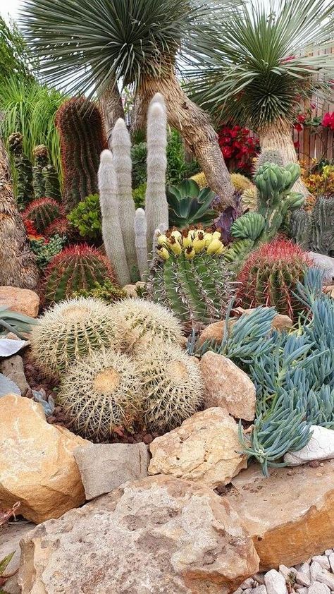 If you’re living in dry climates where the humidity is low and the rain becomes a luxury, desert landscaping is the solution for you. This kind of landscaping incorporates many plants that are often associated with with a desert environment, such as cactus, succulents and alove… Once established, a desert garden will make a big difference to your outdoor landscaping, while requires minimal maintenance, conserves water, and is virtually indestructible. Succulent Front Yard Landscaping, Succulent Front Yard, Desert Landscaping Ideas, Landscaping Succulents, Drought Tolerant Landscape Front Yard, Cactus Garden Design, Desert Landscaping Backyard, Cactus Garden Landscaping, Succulent Rock Garden