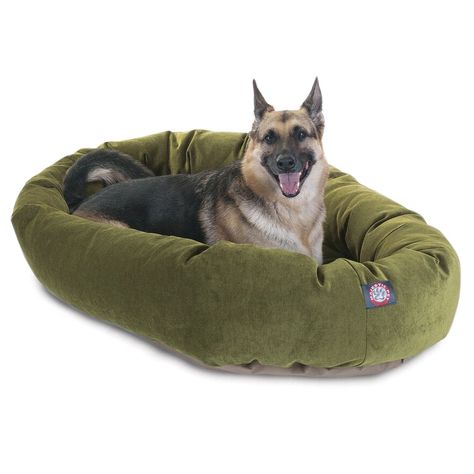 Green Dog Bed, Velvet Dog Bed, Family Dogs Breeds, Round Dog Bed, Bagel Dog, Best Dogs For Families, Donut Dog Bed, Washable Dog Bed, Calm Dogs