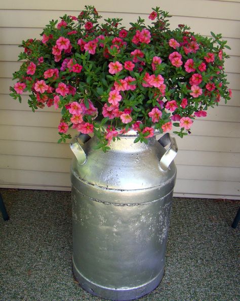 Watercan With Flowers, Painted Milk Cans, Milk Can Decor, Old Milk Cans, Backyard Creations, Rustic Landscaping, Plant Arrangements, Vintage Milk Can, Garden Containers