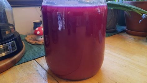 Chokecherry Syrup Recipe Chokecherry Recipes, Chokecherry Syrup, How To Make Pie, Wild Edibles, Syrup Recipe, Food Categories, Other Recipes, Wyoming, Syrup