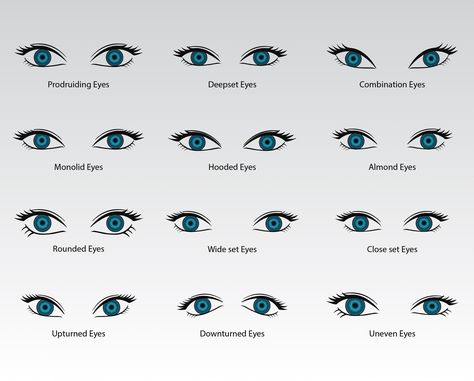 This Digital Drawings & Illustrations item by Thivean has 14 favorites from Etsy shoppers. Ships from United States. Listed on 19 Jul, 2023 Types Of Eyes Shapes Men, Eye Shapes Male, Eye Type Shape, Eye Type Chart, Different Eyes Shapes, Different Types Of Eyes Shape, Eye Lid Types, Eye Types Drawings, Types Of Eye Colors