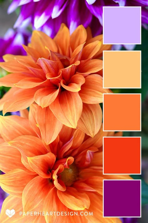 Color Pallet For Branding, Spring Decor Color Palette, Beautiful Color Pallets, Orange Pink Purple Color Palette, Striking Color Combinations, Flower Colour Combinations, Purple And Orange Colour Palette, Vintage Rainbow Color Palette, Color Pallets Yellow