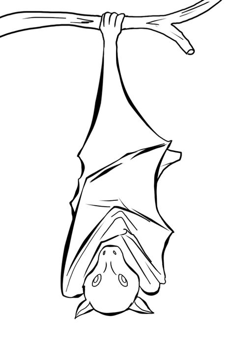 hanging bat drawing Sleeping Drawing Easy, Bat Sleeping, Bat Sketch, Bat Clip Art, Draw A Bat, Bat Printable, Bat Coloring Pages, Sleeping Drawing, Hanging Bat