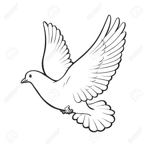 Dove Outline Tattoo, Dove Sketches, White Dove Tattoos, Dove Outline, Bird Pencil Drawing, Dove Drawing, Dove Tattoo Design, Fly Drawing, Dove Pictures