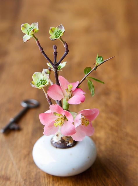 8 Miniature Flower Arrangements You'll Love Mini Flower Arrangements, Art Floral Japonais, Flowering Quince, Ikebana Flower Arrangement, Purple Pansy, Miniature Vase, Mini Vase, Beautiful Flower Arrangements, Vase Fillers