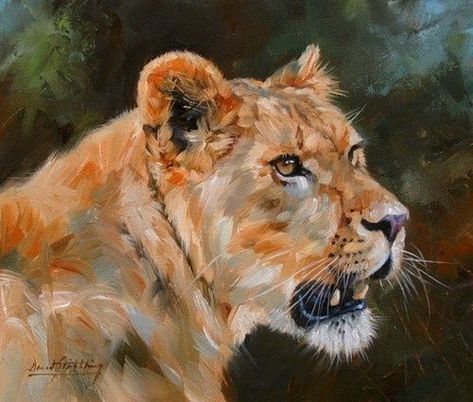 Artist David Stribbling Birthday Leo, Lioness Tattoo, Dell Alienware, Favorite Paintings, Oil Painting Inspiration, Tiger Painting, Lion Painting, Big Cats Art, August Birthday