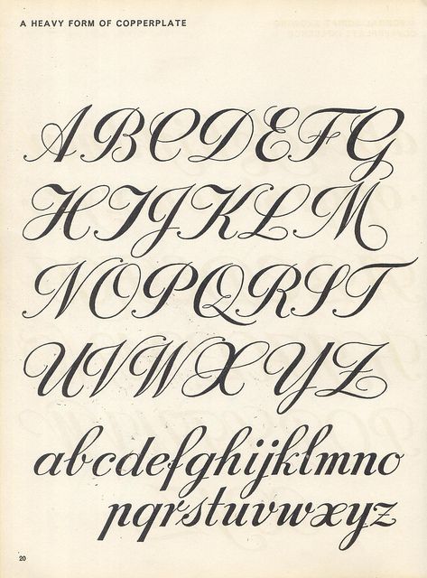 Cursive Fonts Alphabet, Tattoo Fonts Alphabet, Calligraphy Fonts Alphabet, Tattoo Fonts Cursive, Lettering Styles Alphabet, Cursive Alphabet, Handwriting Alphabet, Tattoo Lettering Fonts, How To Write Calligraphy