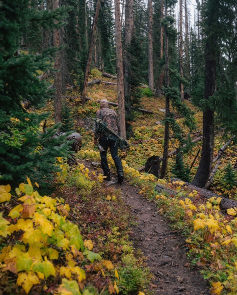 Colorado Elk hunt with Pedro More from this soon Black Elk Peak South Dakota, Colorado Forest, Elk City Oklahoma, Gold Camp Road Colorado, Elk Hunting Colorado, Elk Hunting, Elk, Colorado, Quick Saves