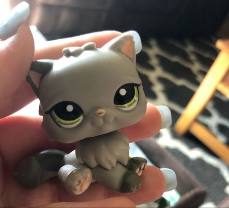 Rare Littlest Pet Shop, Lps Cats, Lps Accessories, Bug Juice, School Suplies, Lps Popular, Lps Toys, Lps Pets, Pretty Pink Princess