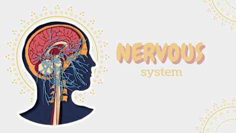 Title page of the ppt about nervous system we've presented at school Nervous System Background Powerpoint, Nervous System Background, Nervous System Projects, Nervous System Parts, Human Nervous System, Presentation Pictures, Wallpaper Powerpoint, Medical Stickers, Background For Powerpoint Presentation