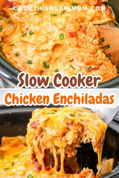 Looking for a hassle-free dinner? This mouthwatering Slow Cooker Chicken Enchilada casserole is packed full of flavor with minimal effort. Crockpot Enchilada Casserole, Slow Cooker Chicken Enchilada Casserole, Slow Cooker Chicken Enchiladas, Crockpot Chicken Casserole, Crockpot Chicken Enchilada Casserole, Casserole Crockpot Recipes, Crockpot Recipes Mexican, Crockpot Chicken Enchiladas, Shredded Chicken Crockpot