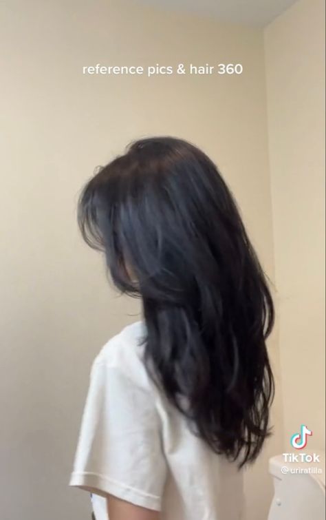 L9ng Layered Hair, Asian Curtain Bangs Long Hair Straight, Women Asian Haircut, Soft Layers Medium Hair Wavy, Mid Layers With Curtain Bangs, Long Black Asian Hair, Waist Length Haircut, Layered V Cut Hair Medium, Layers Asian Hair