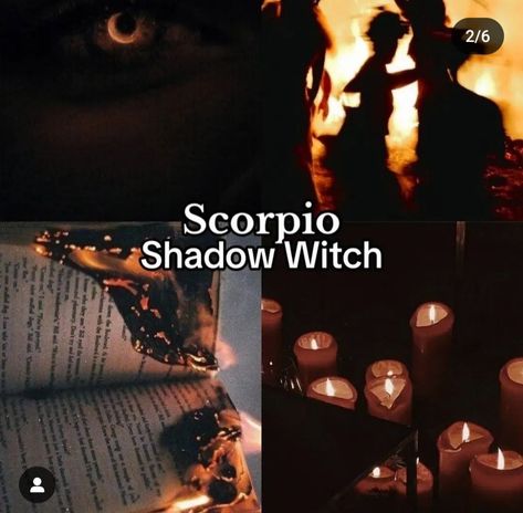 Witch Scorpio, Scorpio Witch, Scorpion Sign, Zodiac Mind Scorpio, Zodiac Quotes Scorpio, Preppy Blogs, Astrology Scorpio, Taurus And Aquarius, Zodiac Signs Chart