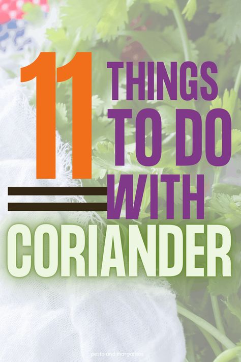 Recipes Using Coriander, Recipes With Coriander, Coriander Recipes, Healthy Pesto, Cilantro Recipes, Flavored Olive Oil, Honey Benefits, Powder Recipe, Coriander Powder