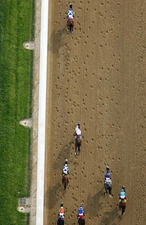 Simon Bruty's Favorite Shots - Sports Illustrated Derby Horse, Sport Of Kings, Thoroughbred Horse, All The Pretty Horses, Dirt Track, Equestrian Life, Triple Crown, Horse Life, Pretty Horses