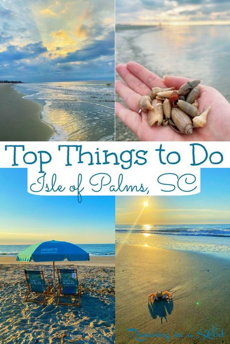 Things To Do In Isle Of Palms Sc, Isle Of Palms Things To Do, Isle Of Palms South Carolina Beach, Fun Things To Do In Charleston Sc, Things To Do In Charleston Sc, Isle Of Palms Restaurants, Charleston Sc Beaches, Visit South Carolina, Isle Of Palms South Carolina