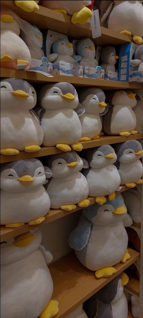 Miniso Penguin, Cat Pattern Wallpaper, Penguin Wallpaper, Shorts Aesthetic, Cute Squishies, Aesthetic Shorts, Cute Stuffed Animals, Cute Toys, Instagram Ideas