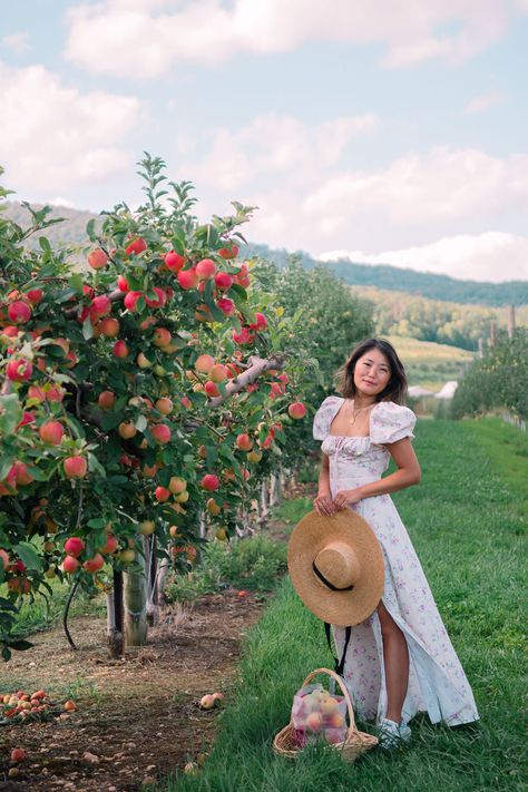 house of CB dupe Things To Do In Maryland, Corset Dresses, House Of Cb Dresses, Future Clothes, Autumn Lights, Corset Mini Dress, Split Maxi Dress, Apple Picking, Vintage Inspired Dresses