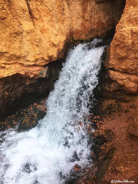 Cecret Lake Utah, Panguitch Lake Utah, Navajo Lake Utah, Fishlake National Forest Utah, Cedar City Utah, Lake Arrowhead Village, Cascade Falls, Lava Tubes, Cedar City