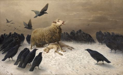 painting of lamb surrounded by ravens Albrecht Schenck #painting #sheep #birds classic art #crow #5K #wallpaper #hdwallpaper #desktop August Friedrich, Crow Painting, Sheep Paintings, Crow Art, Painting Words, Hur Man Målar, Textured Canvas Art, Classic Paintings, Painting Reproductions