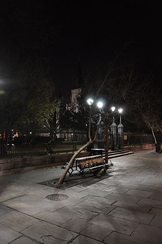 Jackson Square night shot by RussellEric1 on Flick'r. His New Orleans photos are wonderful. Louisiana Architecture, Louisiana Woman, New Orleans Voodoo, Native American Traditions, Louisiana Purchase, Jackson Square, New Orleans Mardi Gras, South Louisiana, Night Shot