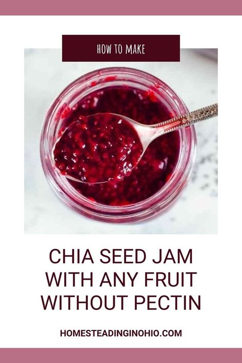 Easy Jam Recipes, Strawberry Jam Recipe Without Pectin, Blueberry Chia Seed Jam, Chia Seed Jam Recipe, Sugar Free Jam Recipes, Sugar Free Strawberry Jam, Blackberry Peach, Easy Jam Recipe, Chia Jam Recipe