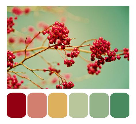 Absolutely love these subtly muted, wonderfully garden redolent hues. #colours #colors #palette #scrapbooking #decor #decorating #green #red Muted Red And Green Color Palette, Red And Green Color Palette Colour Schemes, Green Red Colour Palette, Green And Red Room Decor, Green Red Color Scheme, Green Colour Palate, Green And Red Decor, Berry Colour Palette, Red Green Colour Palette