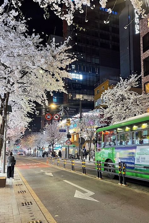 Korean Bus Stop Aesthetic, Korean Bus Stop, Home In Korea, Korean Christmas, Seoul Korea Travel, Korean School, Friends Hanging Out, Living In Korea, Bus Stops