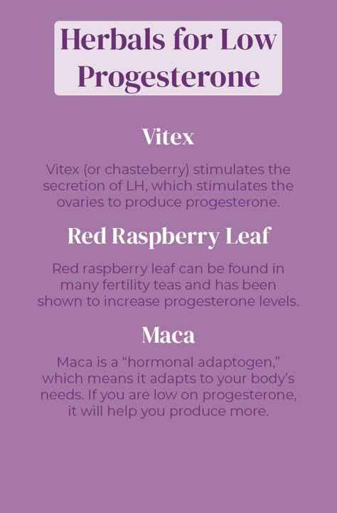 Low Progesterone Remedies, Boost Progesterone, How To Boost Progesterone, Foods To Increase Progesterone, Increase Lh Hormone, How To Increase Progesterone Naturally, How To Improve Progesterone Levels, Ways To Increase Progesterone, Natural Progesterone Food