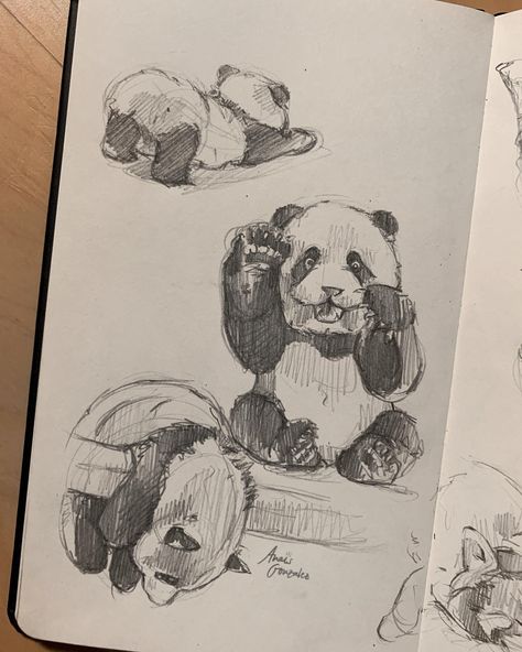 Panda Sketch, Learn To Sketch, Panda Drawing, Skateboard Art Design, Drawing Inspo, Skateboard Art, Hand Art Drawing, Hand Art, Cute Panda