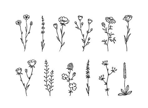 Flower, Flower SVG, Flowers, Svg, Wildflowers, Floral silhouettes SVG, Flower Bundle, Hand drawn, Wild flowers SVG, Greenery. Botanical Png Larkspur Line Art, How To Draw Wildflowers, Floral Sketches, Wildflower Drawing, Svg Flowers, Easy Flowers, Floral Meadow, Wild Herbs, Flower Bundle