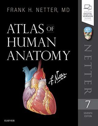 Atlas of Human Anatomy (Netter Basic Science) Anatomy And Physiology Book, Medical Textbooks, Basic Science, Gross Anatomy, Human Anatomy And Physiology, Free Pdf Books, Body Systems, Anatomy And Physiology, Science Books