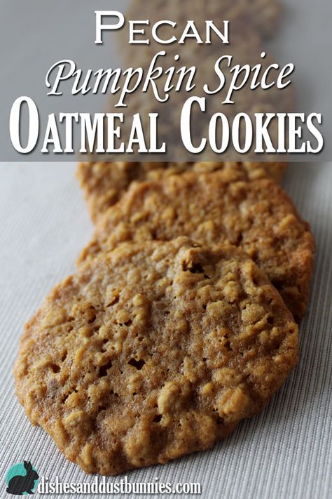 Pecan+Pumpkin+Spice+Oatmeal+Cookies+-+Dishes+and+Dust+Bunnies Spice Oatmeal Cookies, Pecan Oatmeal Cookies, Pumpkin Spice Oatmeal, Pecan Oatmeal, Pecan Pumpkin, Old Fashioned Oats, Dust Bunnies, Pecan Cookies, Pumpkin Pecan